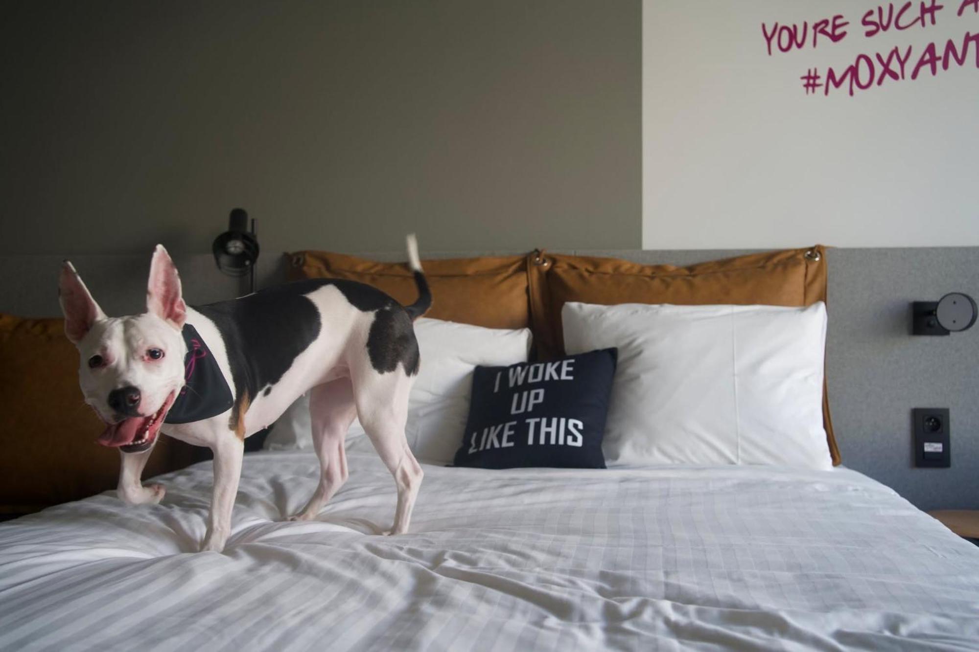 Moxy Antwerp Hotel Luaran gambar